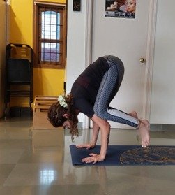 Aleena 020